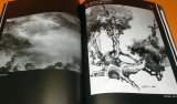 Photo: Japanese Ink wash painting : Master Technique of Water book Japan zen