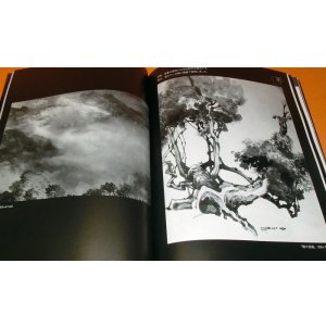 Photo: Japanese Ink wash painting : Master Technique of Water book Japan zen