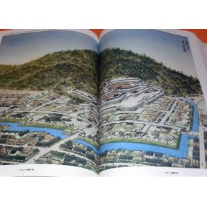 Photo: Japanese Famous Castle by Bird's-eye View Illustration book Japanese