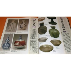 Photo: Japanese Sake Cup SYUHAI and Sake Bottle TOKKURI 1000 book Japan Flask