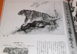 Photo: Draw Tiger by 8 big Painter of Japan and China book Ink wash painting