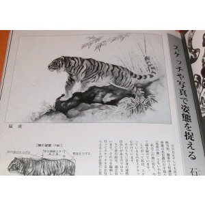 Photo: Draw Tiger by 8 big Painter of Japan and China book Ink wash painting