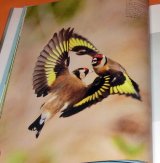 Photo: Flying Birds Flying Beauty in the world photo book from Japan Japense