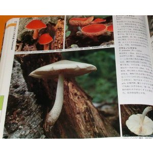 Photo: FUNGI OF JAPAN 945 varieties book Japanese mushroom