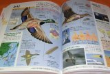 Photo: KIDSPEDIA : ENCYCLOPEDIA FOR JAPANESE CHILDRED book from Japan Shogakukan