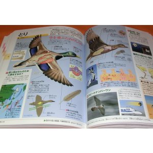 Photo: KIDSPEDIA : ENCYCLOPEDIA FOR JAPANESE CHILDRED book from Japan Shogakukan
