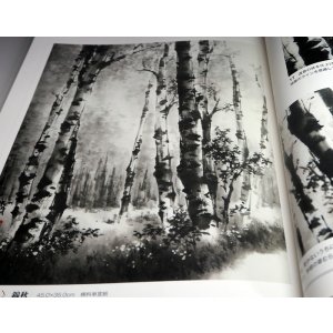 Photo: Draw a tree in the Jpanese Ink wash painting book from Japan