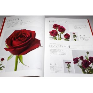 Photo: The Encyclopaedia of Cut Roses 1 : RED PINK BI-Color from Japan Japanese