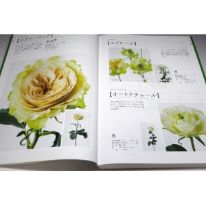 Photo: The Encyclopaedia of Cut Roses 2 : GREEN WHITE YELLOW ORANGE BROWN PURPLE