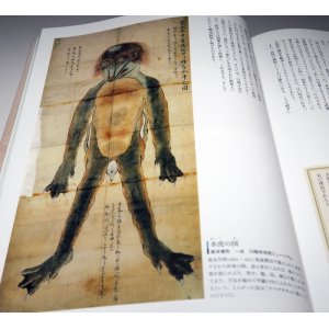 Photo: Japanese YOKAI Monster old Ukiyo-e picture in EDO period book Japan kappa