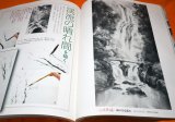 Photo: Draw Ravine Waterfall Valley in Jpanese Ink Wash Painting Book from Japan