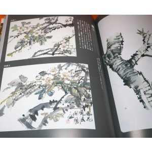 Photo: Japanese Ink Wash Painting Primer Book from Japan India Ink zen
