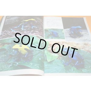 Photo: Poison Dart Frog & Paludarium Book from Japane Japanese
