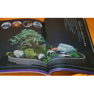 Photo: MODERN BONSAI MINIATURE GARDEN BOOK from JAPAN JAPANESE
