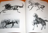 Photo: MAKYO DRAW HORSE IN THE JPANESE INK WASH PAINTING BOOK from JAPAN