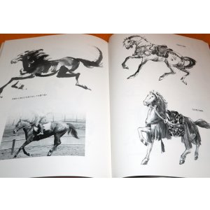 Photo: MAKYO DRAW HORSE IN THE JPANESE INK WASH PAINTING BOOK from JAPAN
