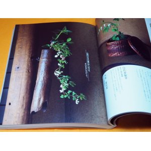 Photo: CHABANA Flower of Japanese Tea Ceremony First learning Book from Japan