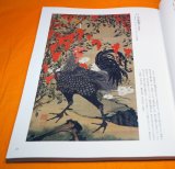 Photo: Ito Jakuchu Works Book from Japan Edo Period Japanese Painter