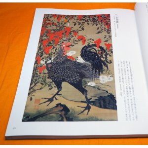 Photo: Ito Jakuchu Works Book from Japan Edo Period Japanese Painter