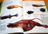 Photo: Deep Sea Fishes - Monsters of Underworld Book from Japan Japanese fish