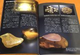Photo: Amber - Fossilized tree resin book from Japan Japanese