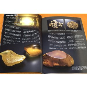 Photo: Amber - Fossilized tree resin book from Japan Japanese