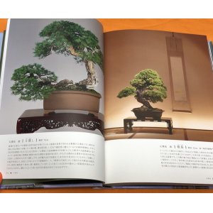 Photo: BONSAI Appreciation knowledge of traditional garden plants Japanese Book