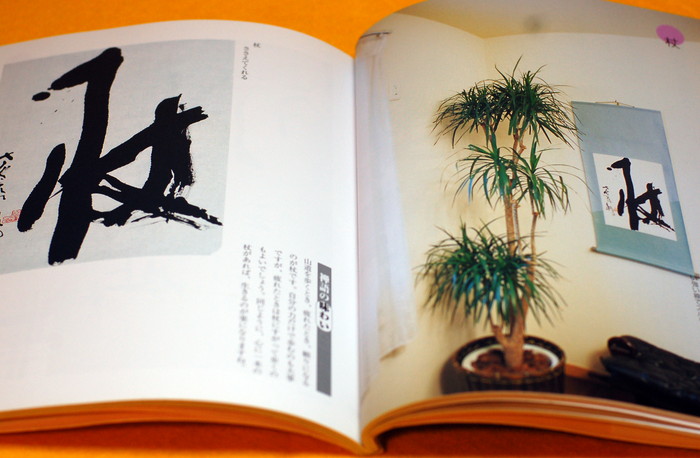 Photo1: CALLIGRAPHY and ZEN ART PHOTO BOOK from Japan (1)