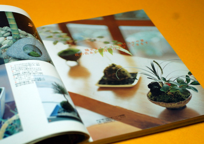 Photo1: MINI SMALL BONSAI & KOKE DAMA Interior BOOK from Japan (1)
