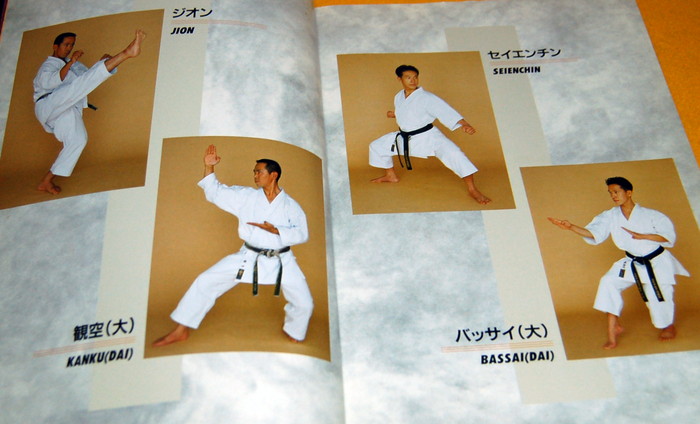 Photo1: Japanese Karate how to BOOK with english description from Japan (1)