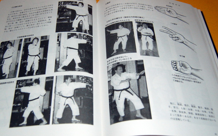 Photo1: Japanese Karate how to BOOK from Japan (1)