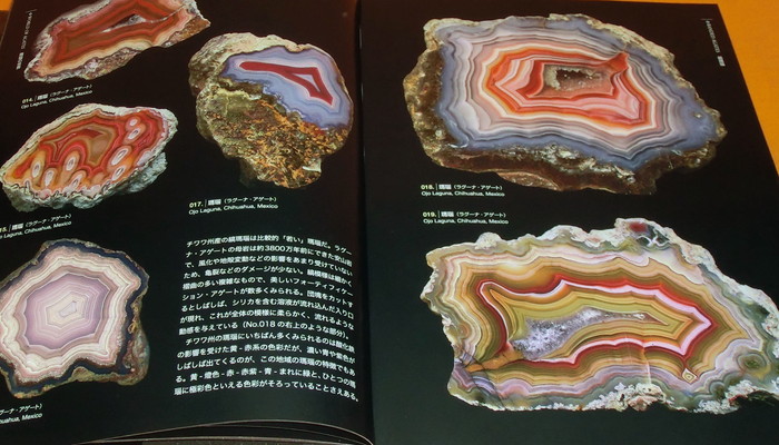 Photo1: Picture book of Beautiful and Wonder Stone agate jasper landscape (1)