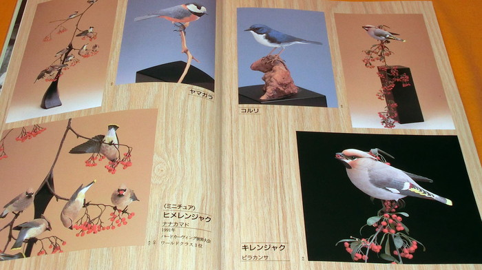 Photo1: RARE Bird Carving for Beginners book from japan japanese (1)