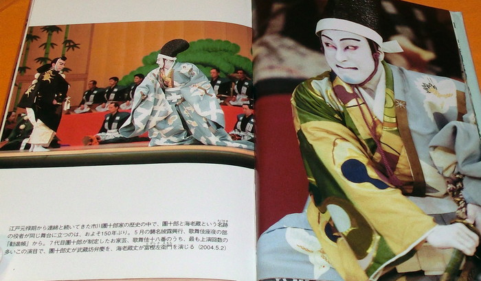 Photo1: Kabuki Actor Ichikawa Ebizo book from japan japanese (1)