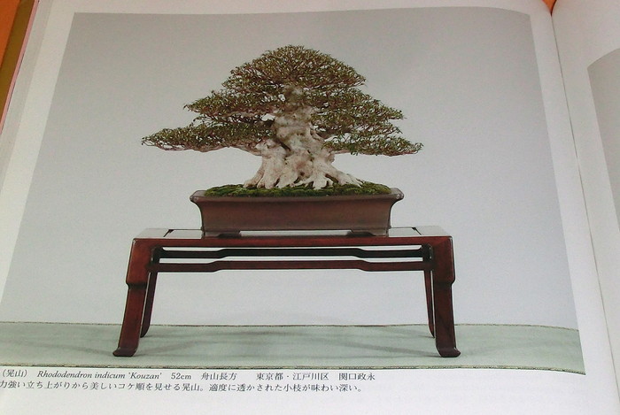 Photo1: Very Rare ! The 85rd Bonsai Exhibition book from japan japanese (1)