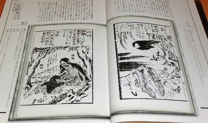 Photo1: RARE Japanese Yokai Monster ukiyo-e picture in EDO period book from japan (1)