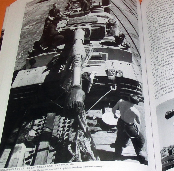 Photo1: 5th SS Panzer Division Wiking photograph collection book ww2 (1)