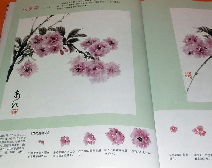 Photo1: Flowers Drawn by Japanese Ink Wash Painting India Ink book from japan (1)