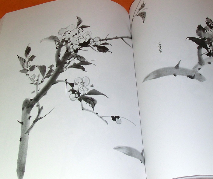 Photo1: The Primer of Japanese Ink Wash Painting book from Japan India Ink zen (1)