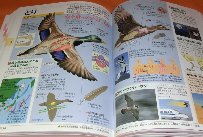 Photo1: KIDSPEDIA : ENCYCLOPEDIA FOR JAPANESE CHILDRED book from Japan Shogakukan (1)