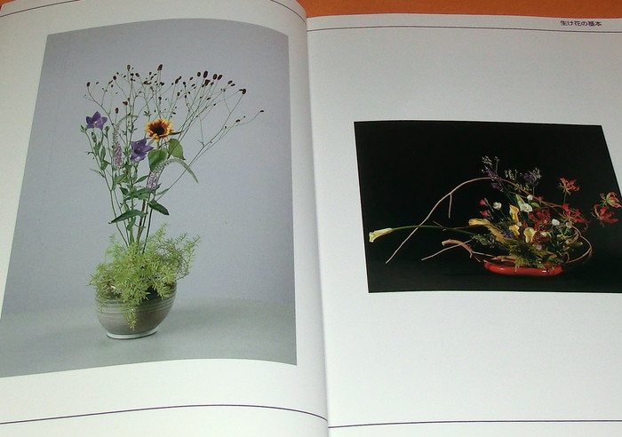 Photo1: Ikebana : The form of the flower schematic book from Japan Japanese flowe (1)