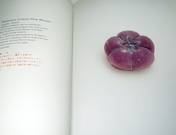 Photo1: The graphics of Japanese Confection WAGASHI book Japan Japanese wagasi (1)