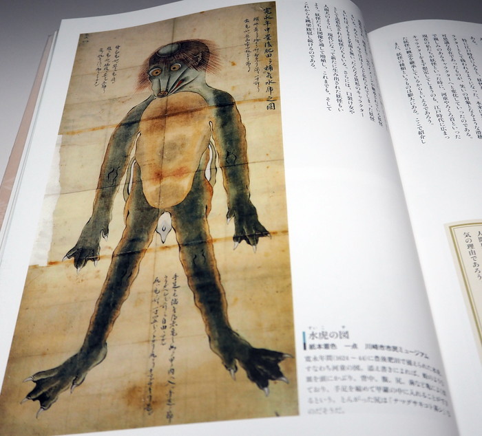 Photo1: Japanese YOKAI Monster old Ukiyo-e picture in EDO period book Japan kappa (1)