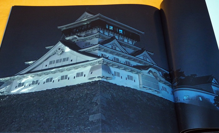 Photo1: Japanese Castle Night View Photo Book from Japan Japanese (1)