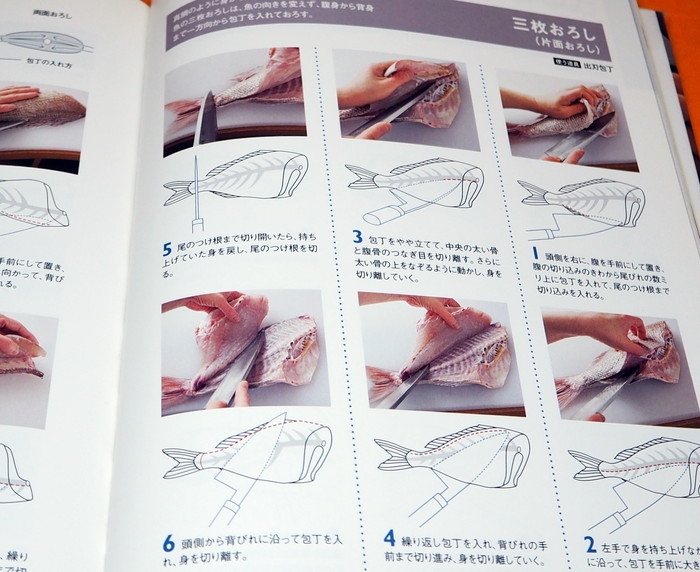 Photo1: Basics of Hocho Japanese Kitchen Knife Seafood Vegetables Meat from Japan (1)