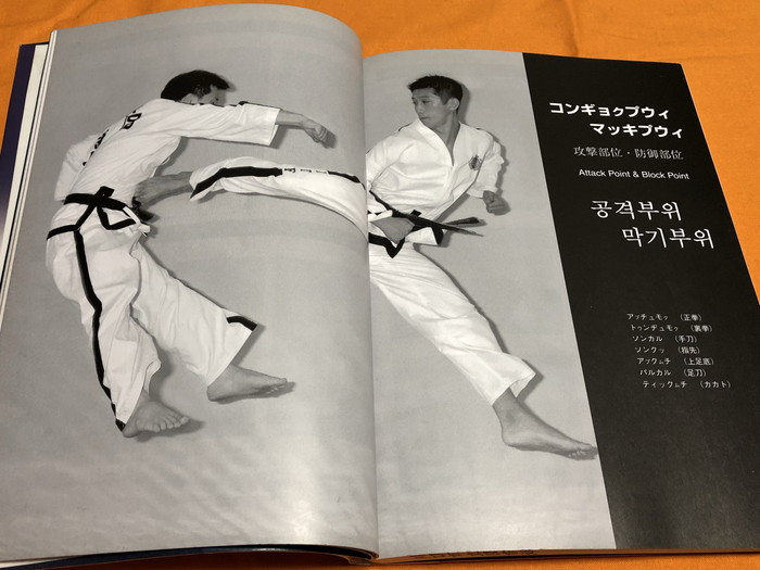 Photo1: Taekwondo Korean Martial Arts Book Taekwon-Do Tae Kwon Do I.T.F-JAPAN (1)